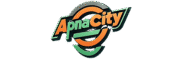 apnacity toba tek singh